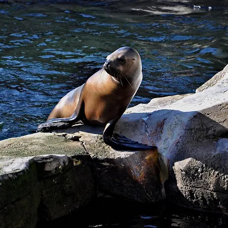 Kuestenhaus Brandgans 펜션