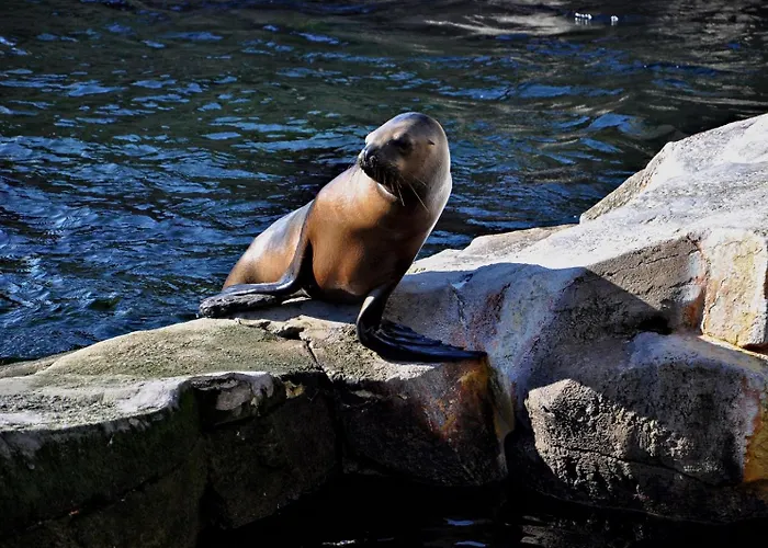 Kuestenhaus Brandgans 펜션